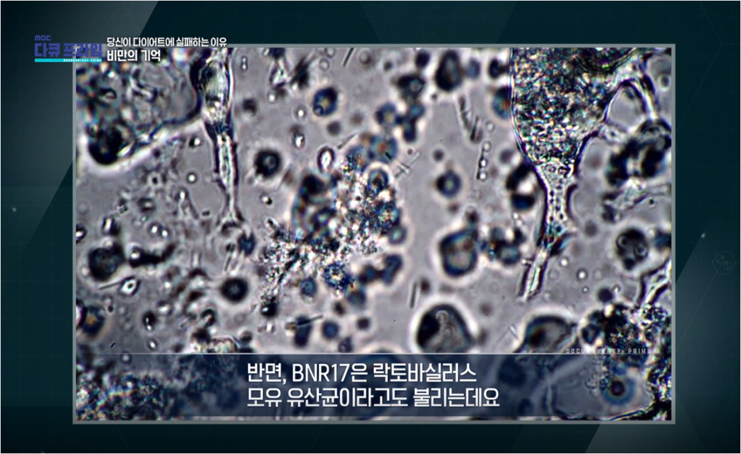 32ac019c1d9e7d75d9f86ae8f4d44192_1747284231_4052.png