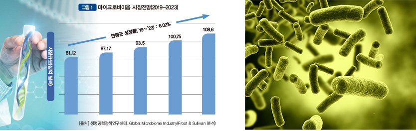 Microbiome 연구