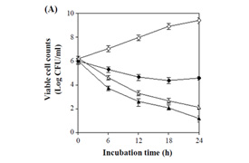 Effects of bacteriocin produced by E. faecalis MJ-213 alone or in combination with potassium sorbate against S. aureus ATCC 6538